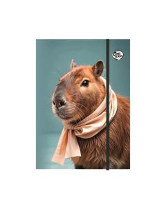 Desky s gumičkou "Capybara", karton, A4, OPTISCHOOL 27IGM00-004