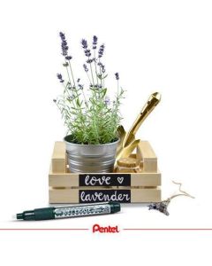 Křídový popisovač "SMW26", bílá, 2 mm, zkosený hrot, PENTEL SMW26-WO