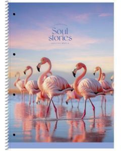 Spirálový sešit "Soul Stories", mix motivů, A4+, linkovaný, 80 listů, SHKOLYARYK A4-080-6711L