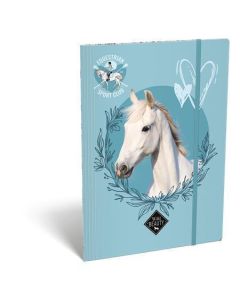 Desky s gumičkou "Wild Beauty, Sport Club", karton, A4, LIZZYSULI 7460148004