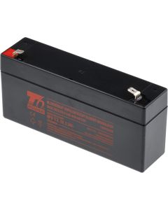 Akumulátor T6 Power NP6-3.3, 6V, 3,3Ah, F1