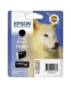 Epson inkoustová náplň/ C13T09614010/ Stylus 2880/ Foto