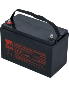 Akumulátor T6 Power NP12-100, 12V, 100Ah