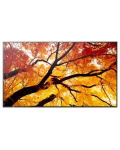 50" LED SHARP M502,3840x2160,24/7