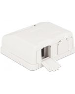 Delock Keystone Surface Mounted Box 2 Port with dust cover