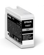 EPSON cartridge T46S7 gray (25ml)
