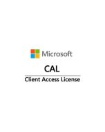 Fujitsu Win Server CAL 2025 (1 User)